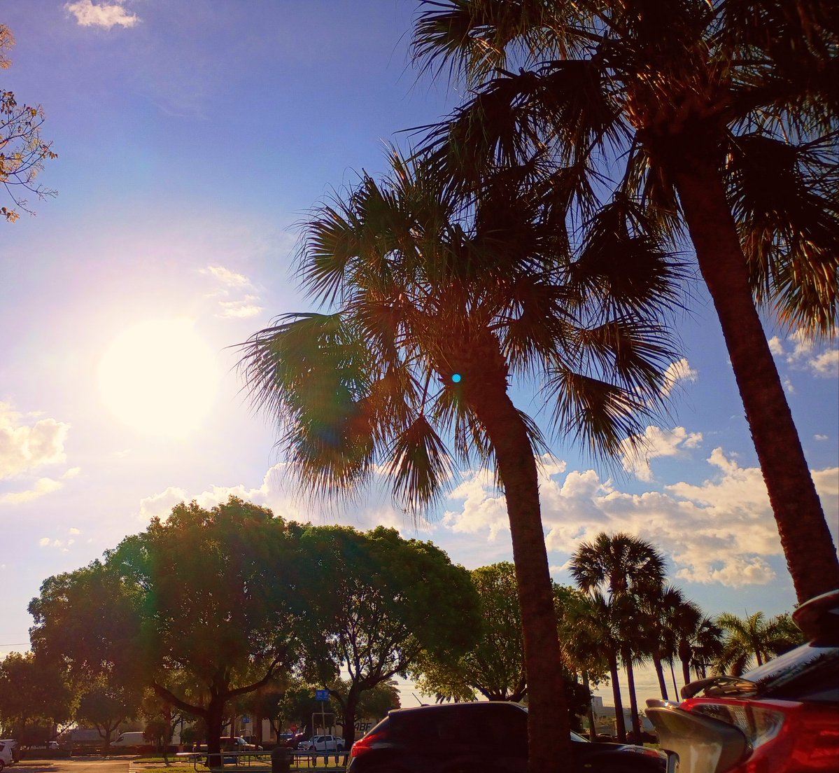 JorgeGNYCMIA's tweet image. @JorgeG179 #Miami #Sky #Sunshine #Palmtrees #photo #photodaily #phototoday #photoofthedaye #photogram #photograph #photographer #photography #photooftheweek #photos #photosession #photoshot #photostudio #skyphotography #sunrays #sunflares #lensflare #SunshineMorning