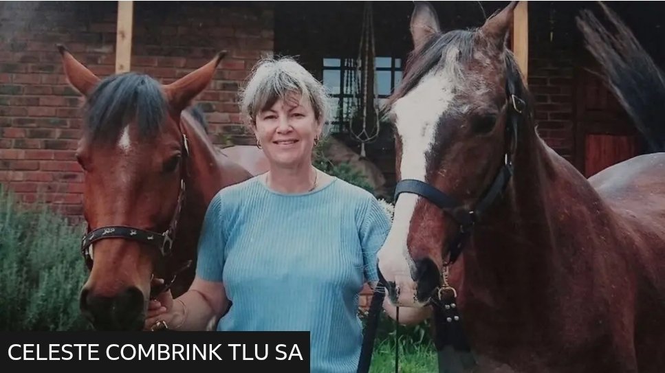 Alice VL tweet media