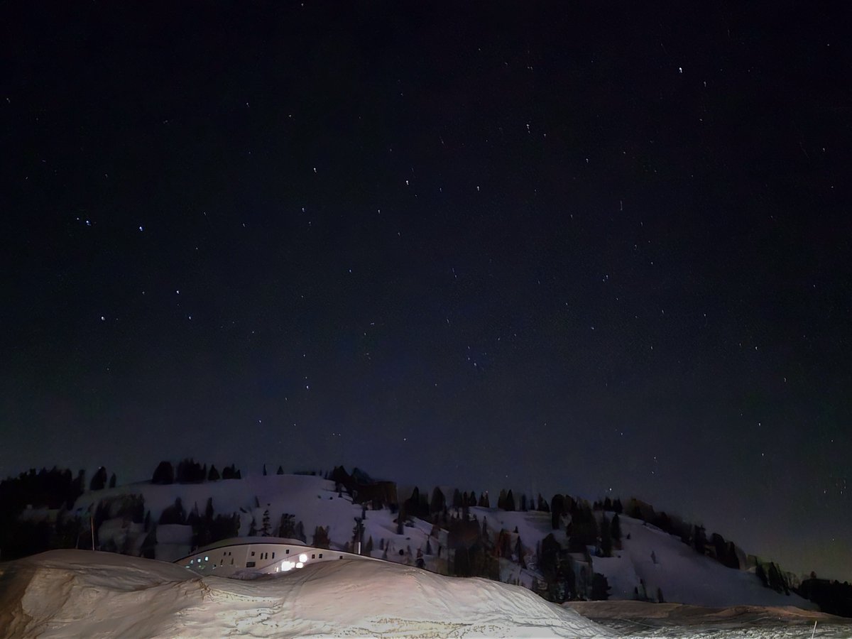 富山市観光協会 tweet media