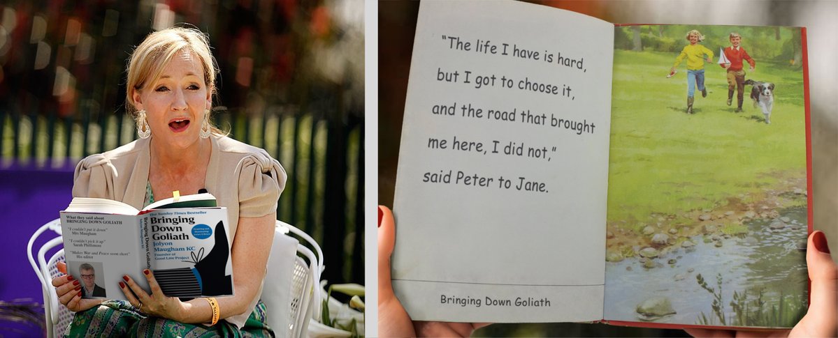 mole at the counter tweet media