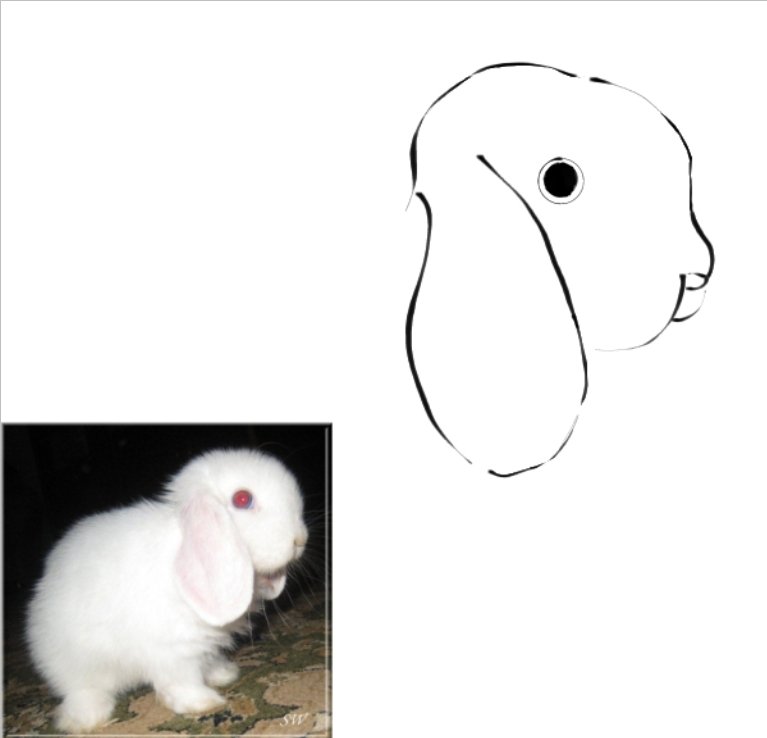 ୨ 🐇 ୧﹔ anika︐ semi active tweet media