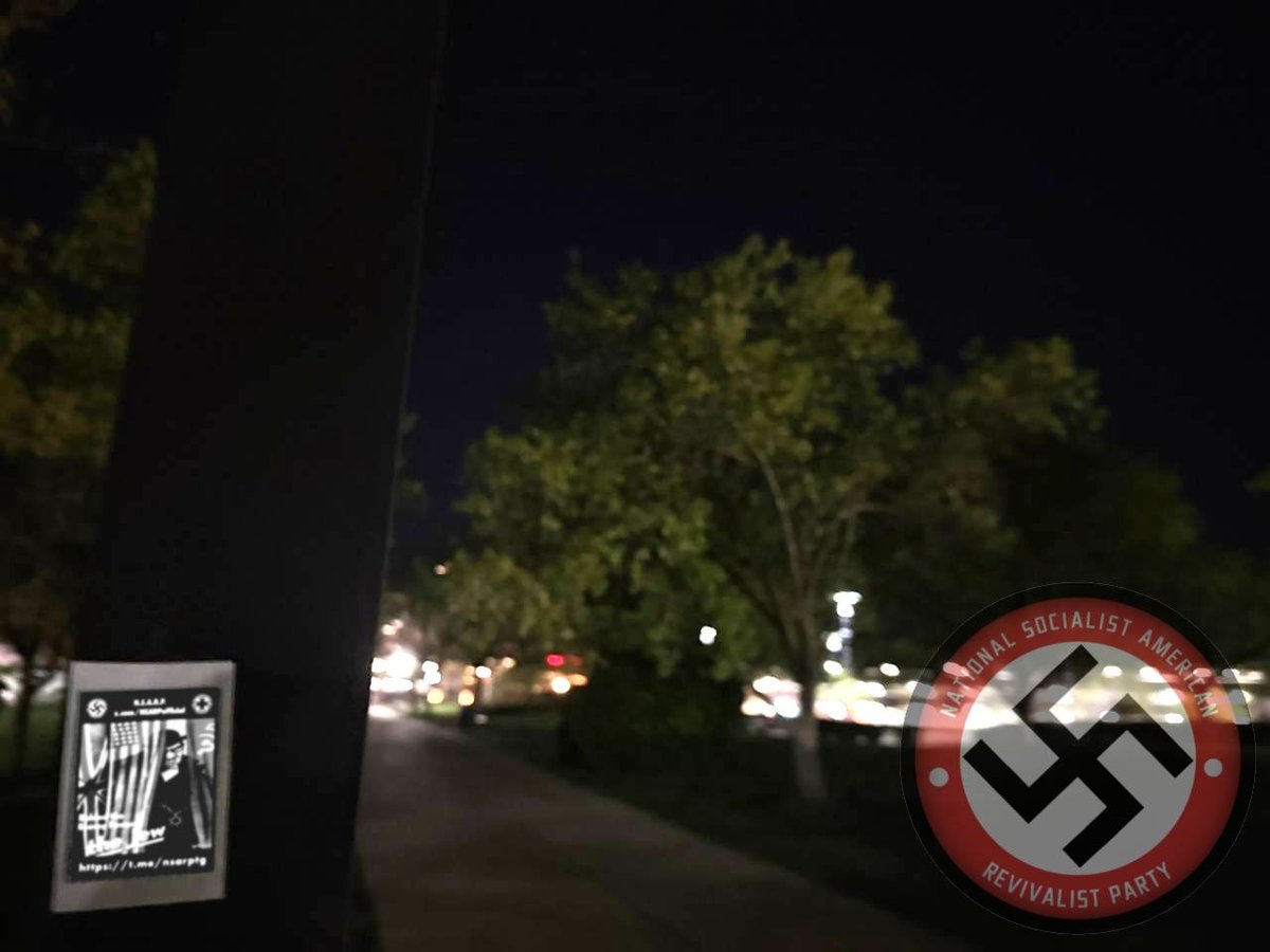 National Socialist American Revivalist Party tweet media