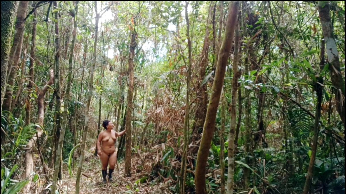 Família Naturista tweet media