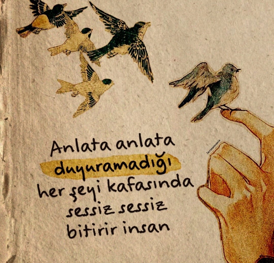 10/10 Bilgi Seli (@ononbilgiselim) on Twitter photo 