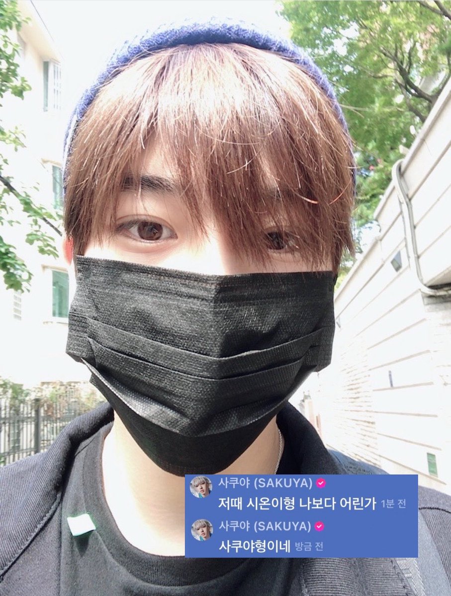 디빵이..(상태: 온나잇) tweet media