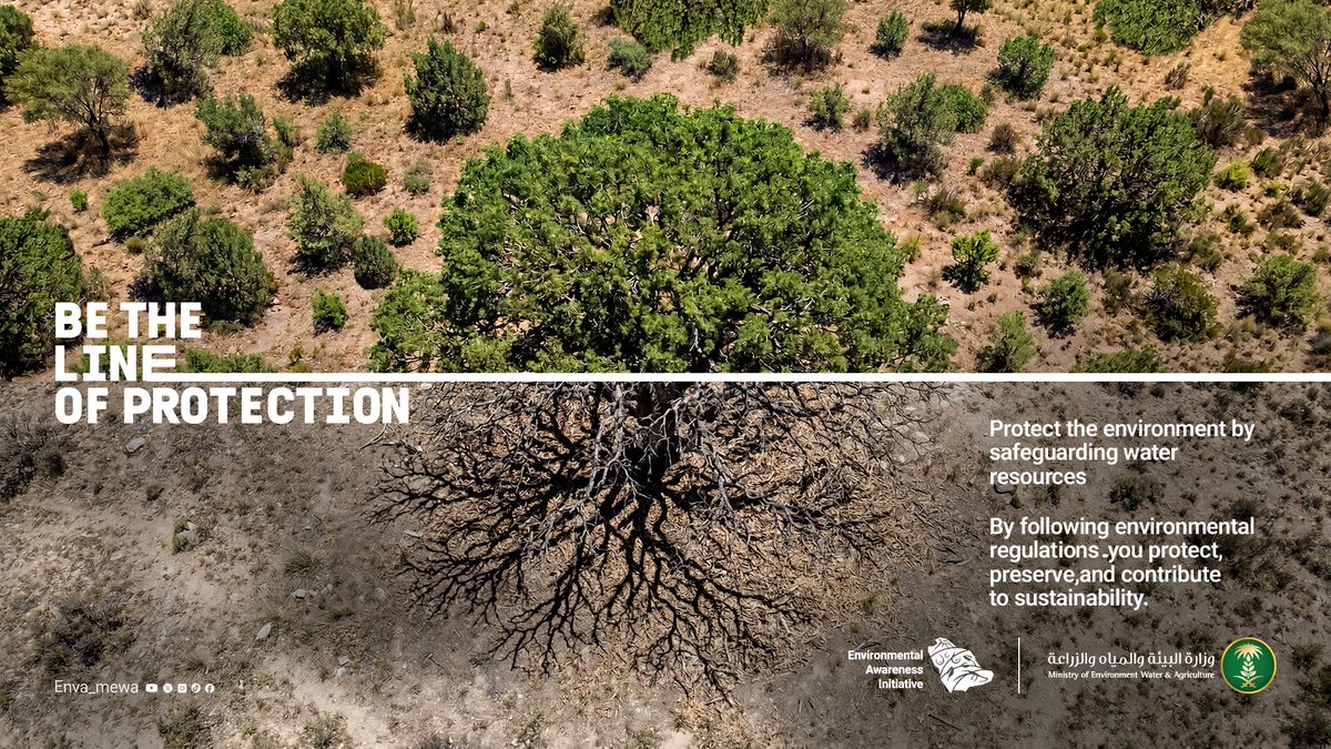 ENVA_mewa's tweet image. By spreading awareness in your community and protecting vegetation from harm, you become the #LineOfDefense for your environment and land 🫵🏻🌿

#EnvironmentalAwareness