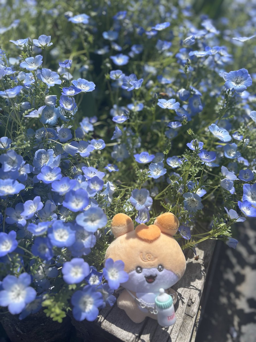 なO🐰 tweet media