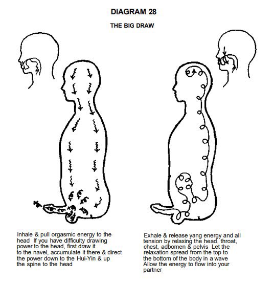 basedethos's tweet photo. Sexual energy transmutation is called transmutation because you literally change form when you do it. 

Your electromagnetic sexual jing whatever tf you want to call it energy will blast every chakra open and force alignment in your life or you will self destruct and you know it and you submit to it and you transcend.