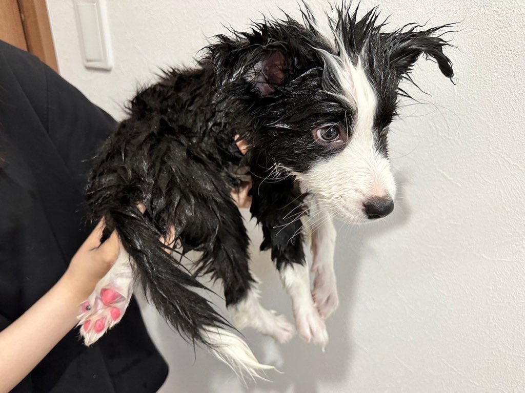 はじめてのおふろ