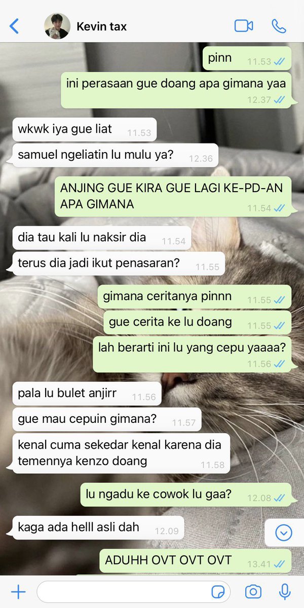 shae ✦ tweet media