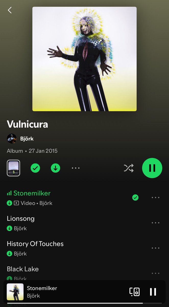 Anders ከለላ tweet media