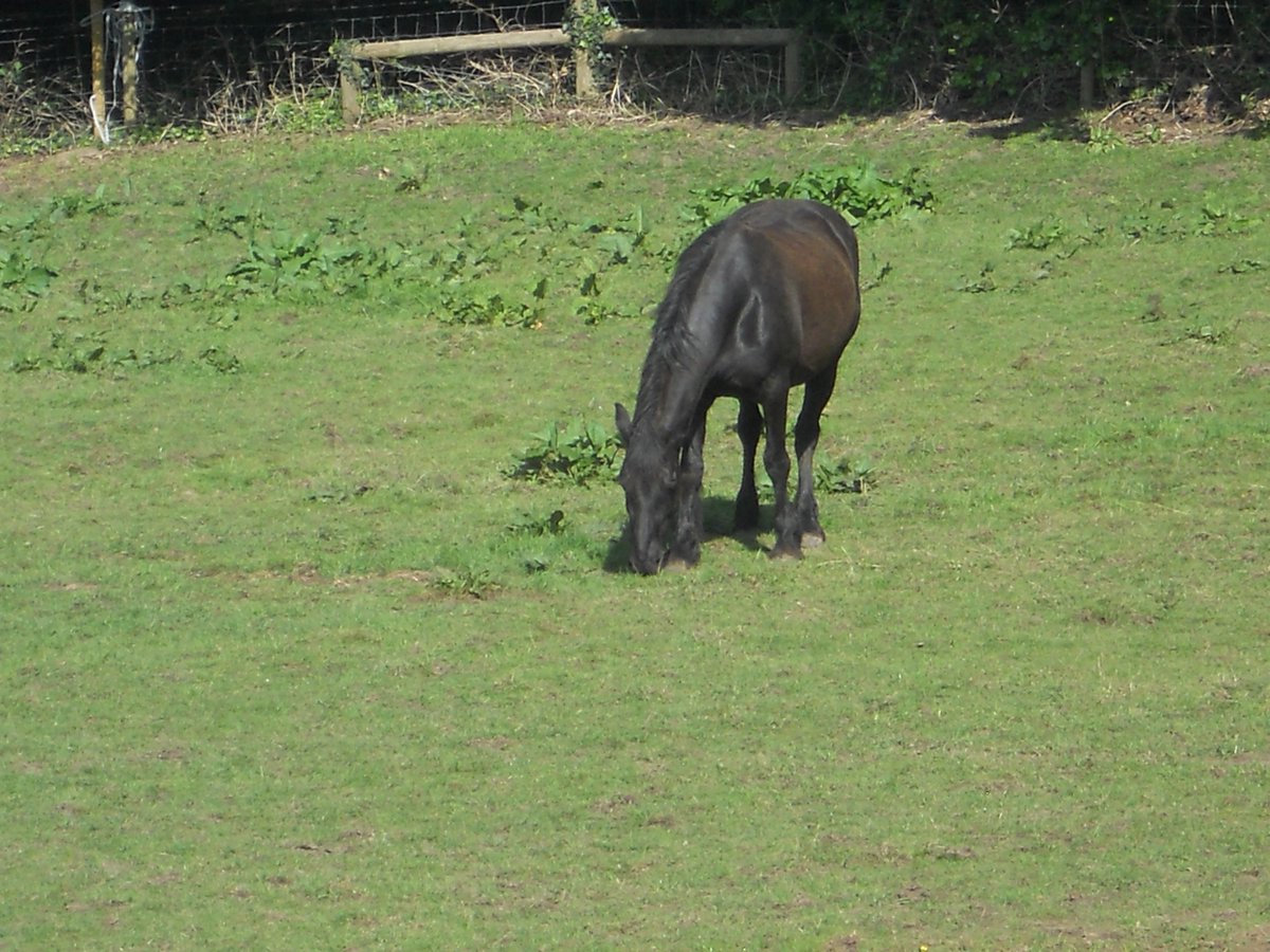 Suzy Sue ❤❤💕 tweet media