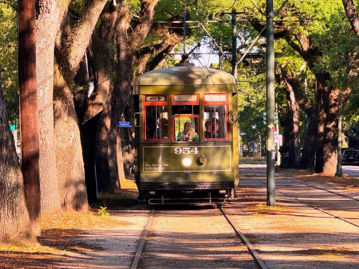 I will always love this section of the St. Charles Avenue streetcar line; it’s beyond beautiful! ✨🌞🌳🚃