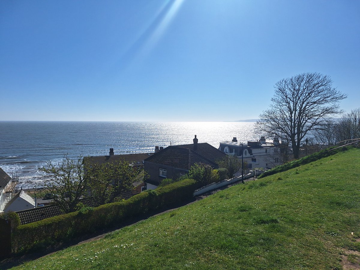 Apple Blossom Vintage tweet media