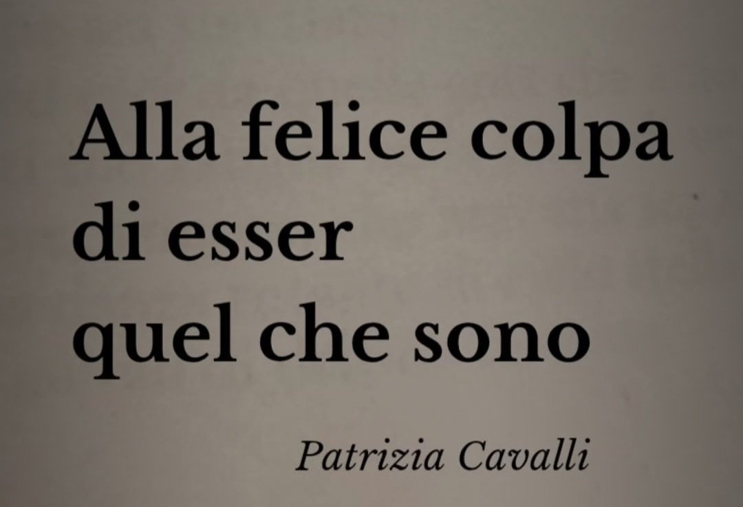 Chat Noir (@chatnoiroui) on Twitter photo 