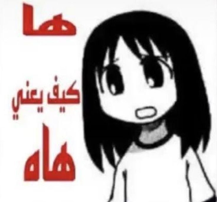 جوديث ~ tweet media