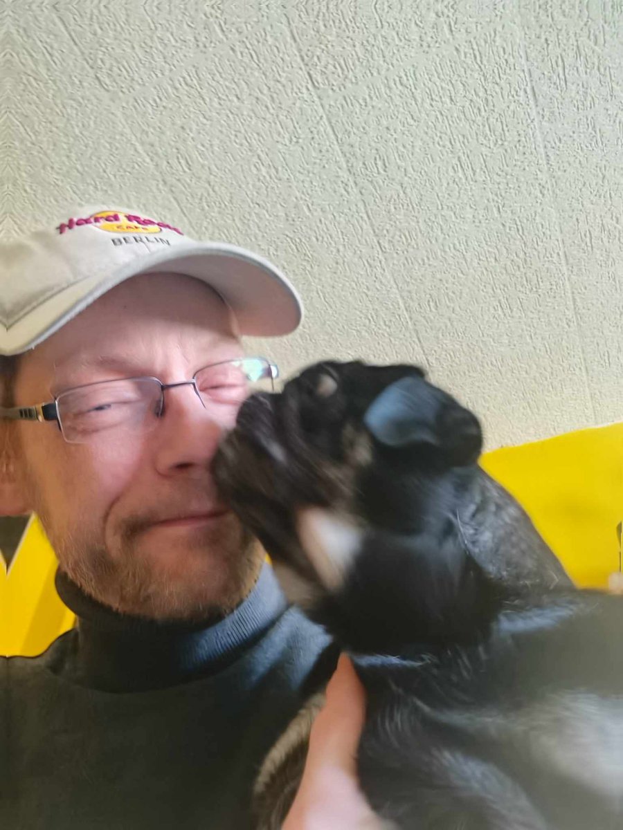 🖤💛Toby & Happy🖤💛 tweet media