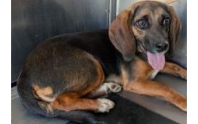 くるみmama tweet media