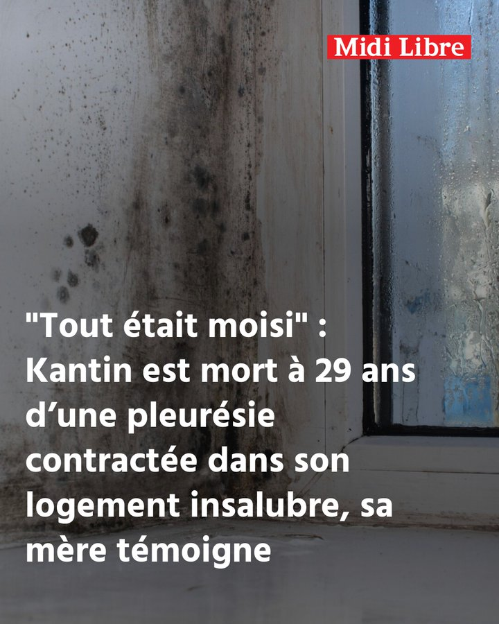 Une mère se bat pour faire reconnaître la responsabilité de l’insalubrité de son logement HLM dans la mort de son fils de 29 ans en 2024. En février, la justice a admis un lien partiel avec l’humidité.
midilibre.fr/2026/04/20/tou…