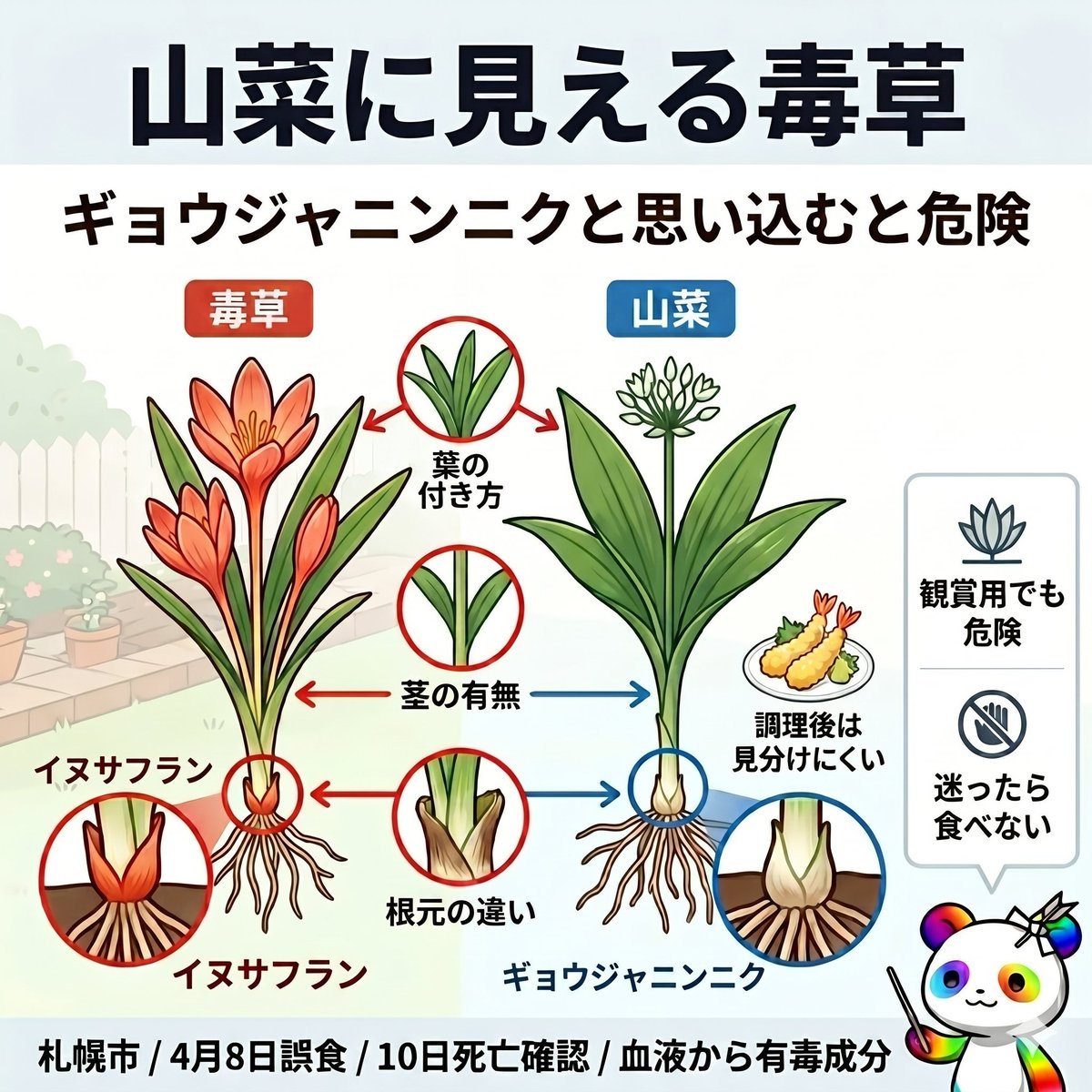 ★クリサム★｜図解士 tweet media