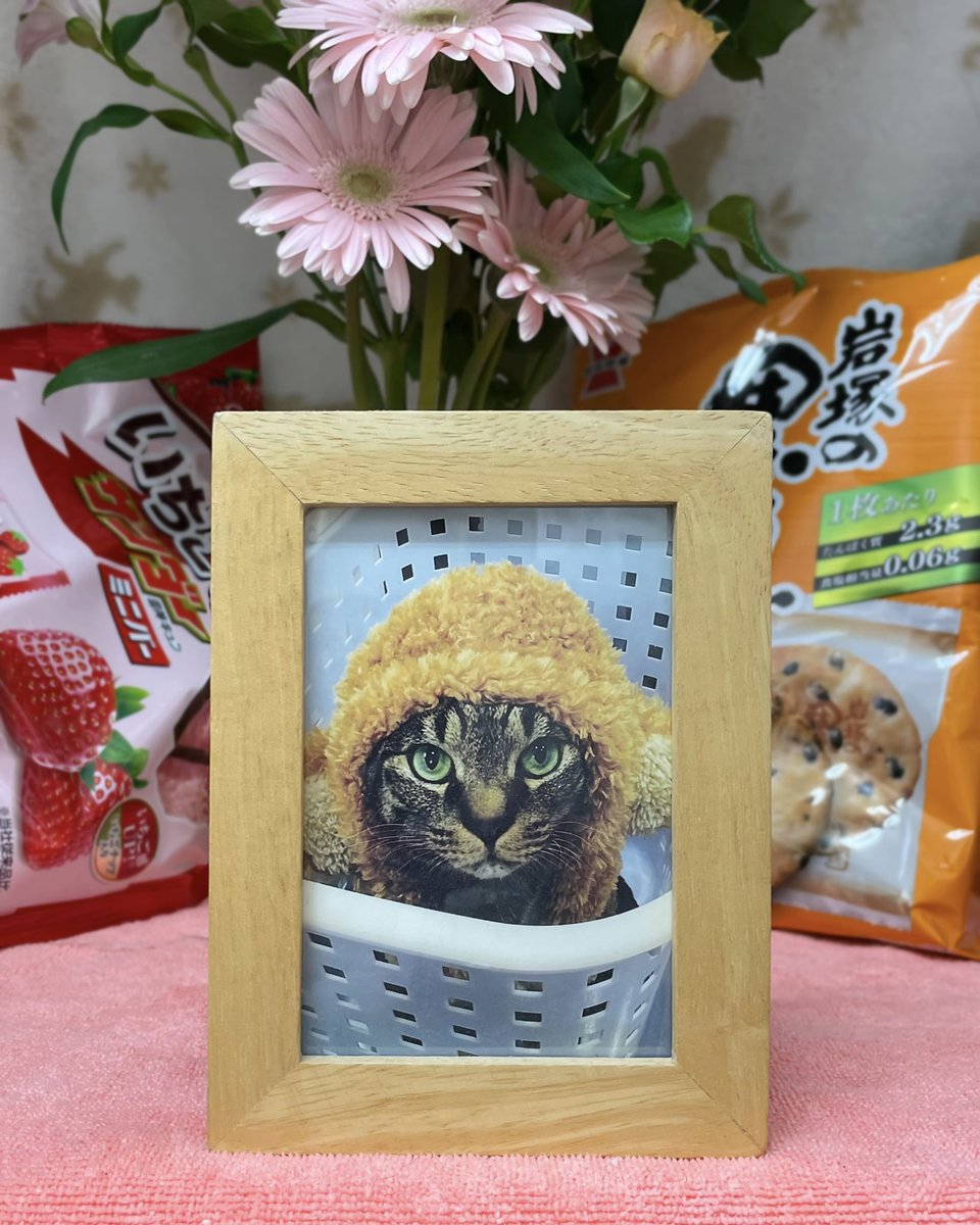 Jun_Lydon's tweet photo. おやすみ、ロミオ・・・ https://t.co/9QWa156c3E