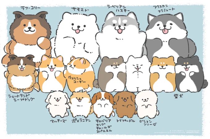 もちたぷしている
ラフ・コリーとシェットランド・シープドッグ( ˙ ꒳ ˙ ) 