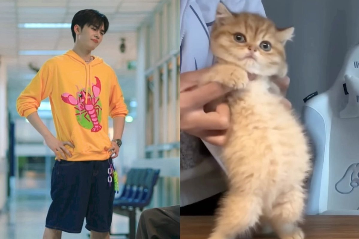 boo. 🍒 tweet media