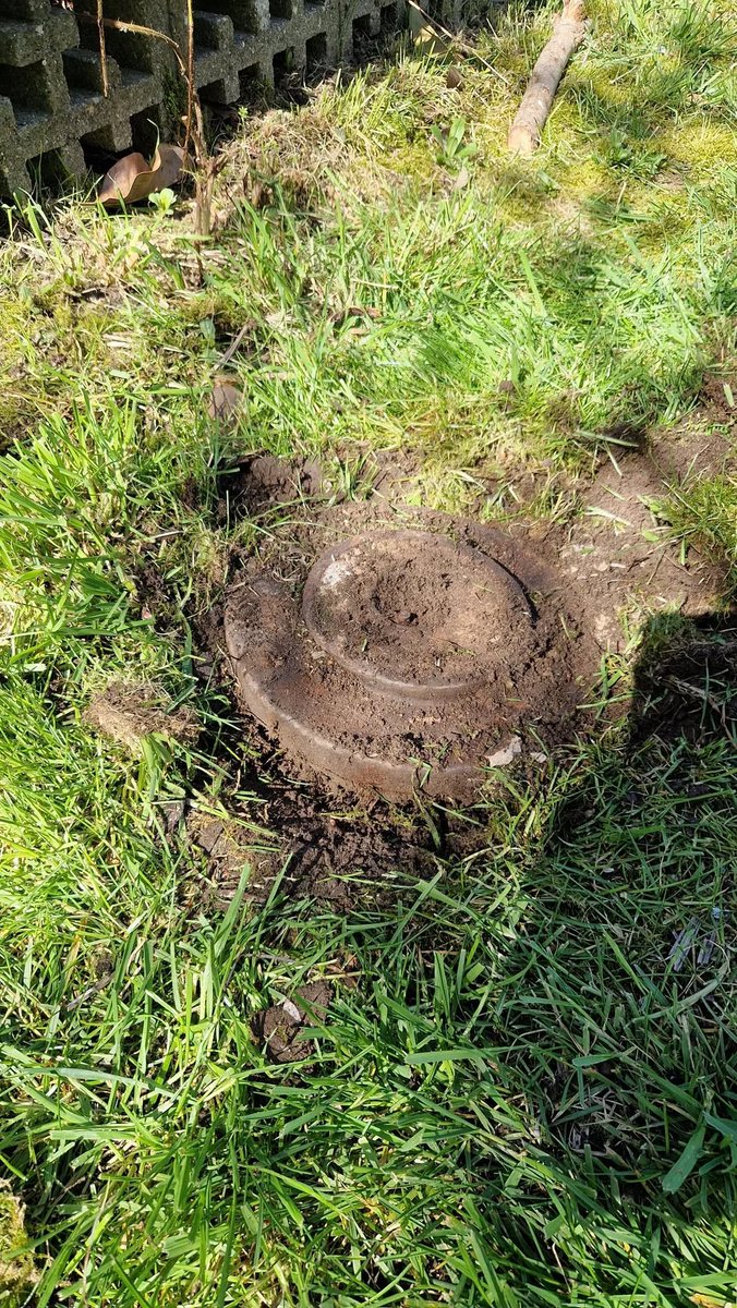 Scott Cheggs tweet media