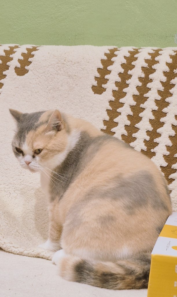 MyBody MyChoice My name is Poison 😁 tweet media