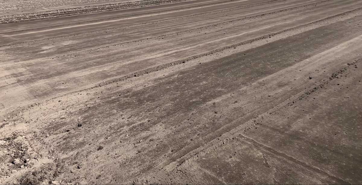 ゲジ姉モード tweet media