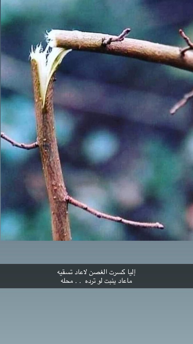 فزاع tweet media