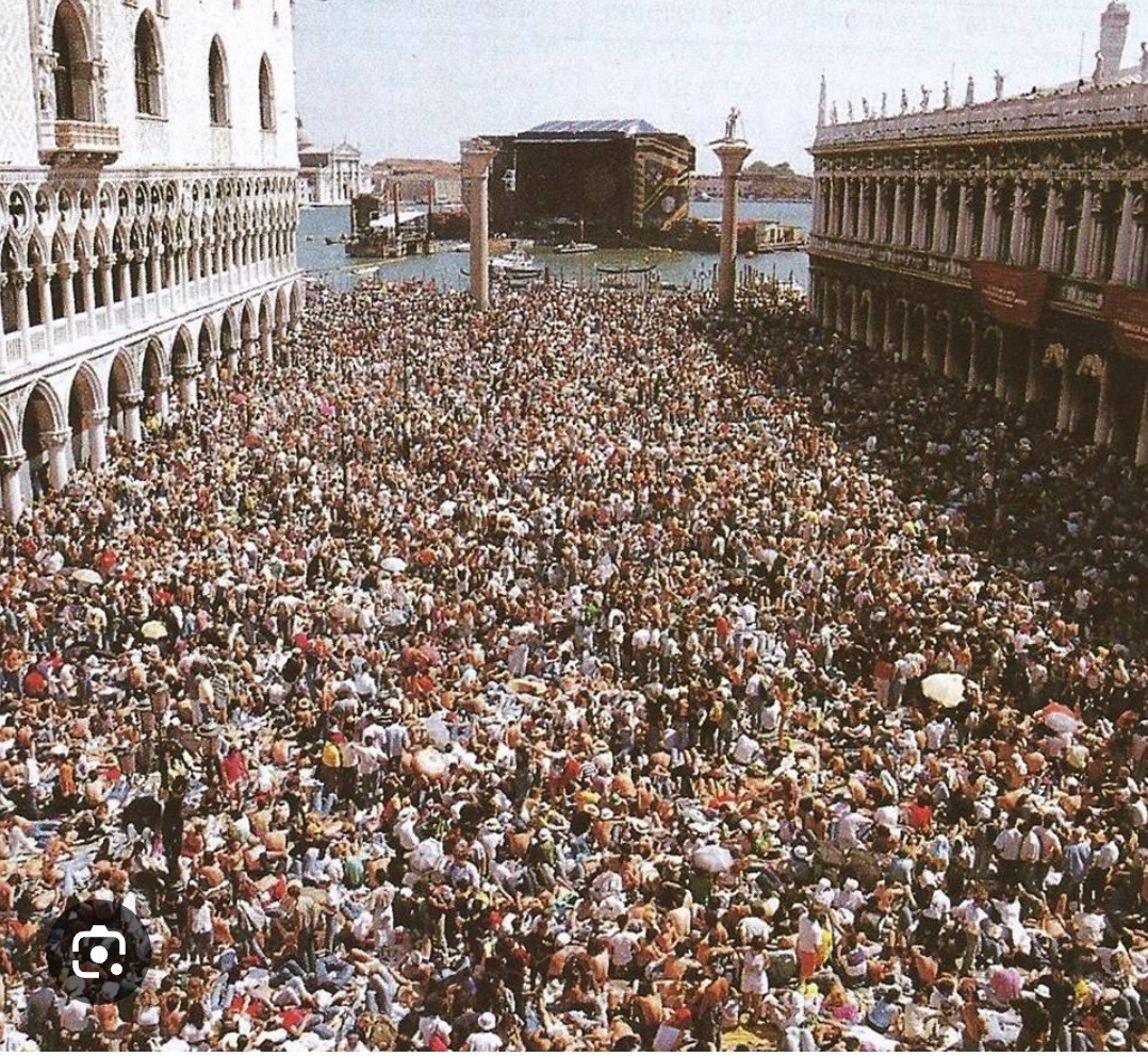 Stefano tweet media