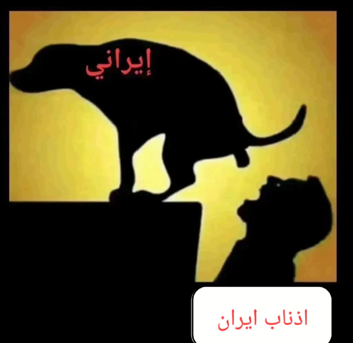 محمد العواد tweet media