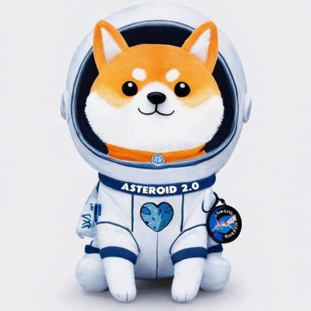 moon Joint tweet media