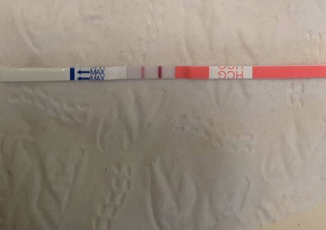 Bellah🦩 tweet media