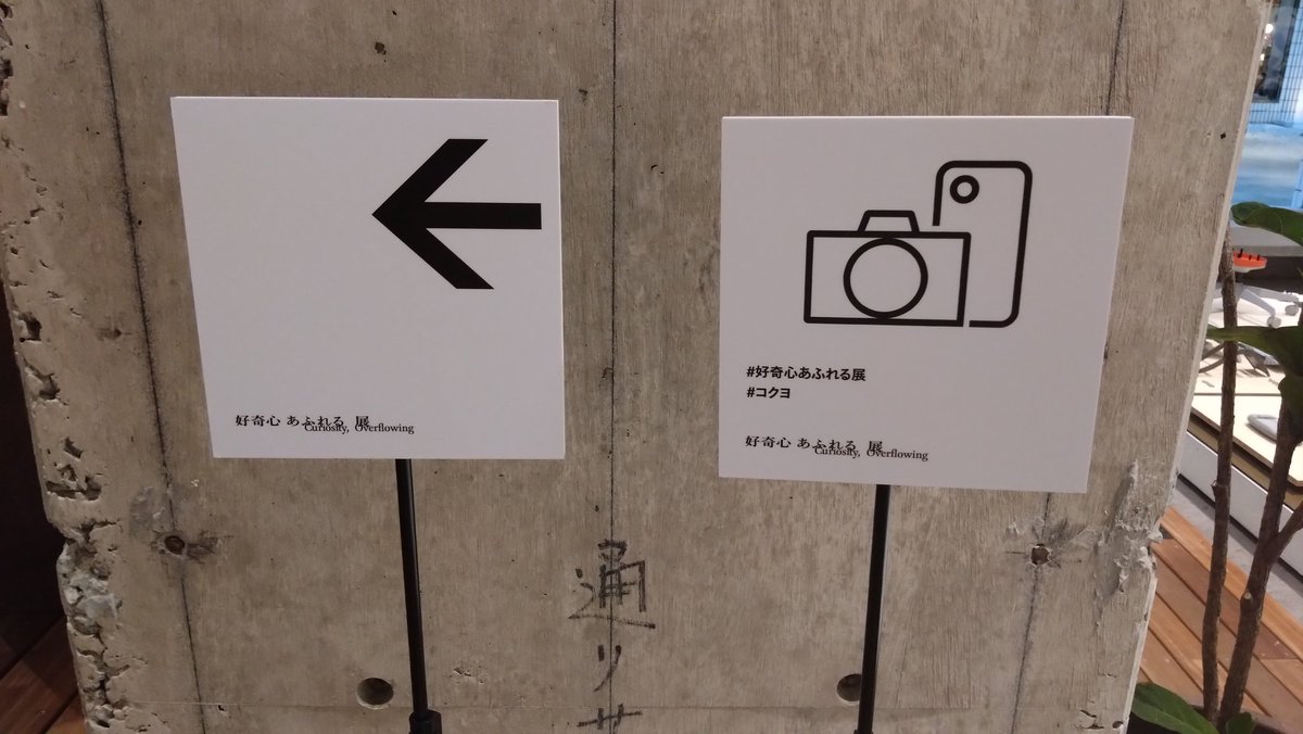 hamanaka tweet media