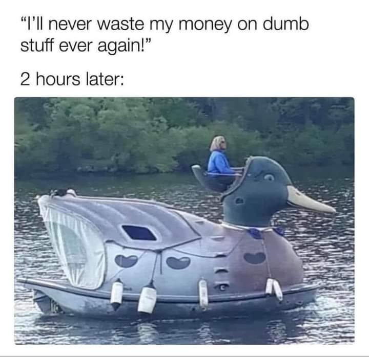 Aggie The Barbabe tweet media