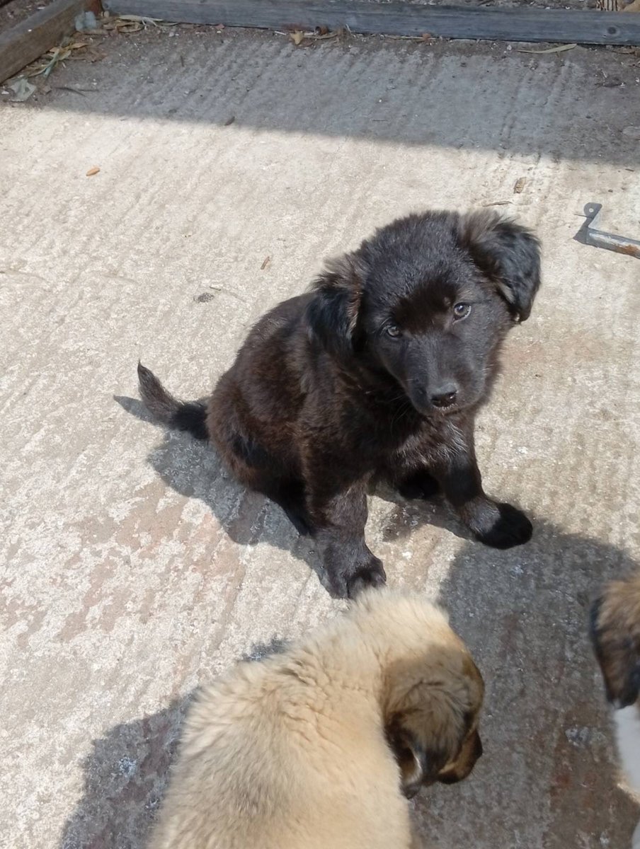 anarchivist tweet media