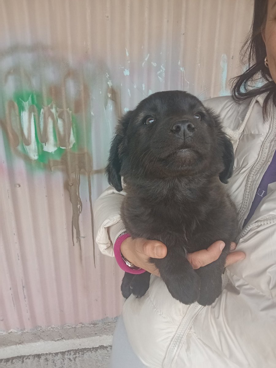 anarchivist tweet media