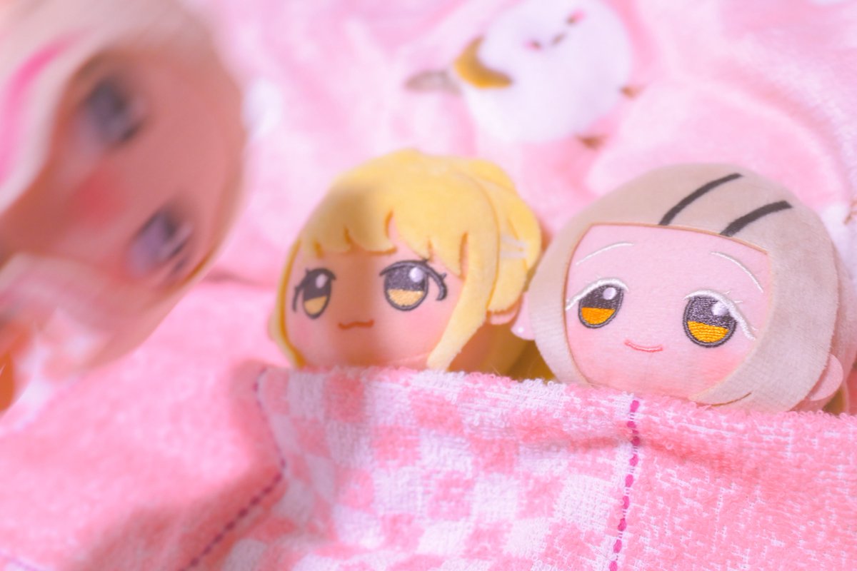 大葉しそ(ぬい活) tweet media