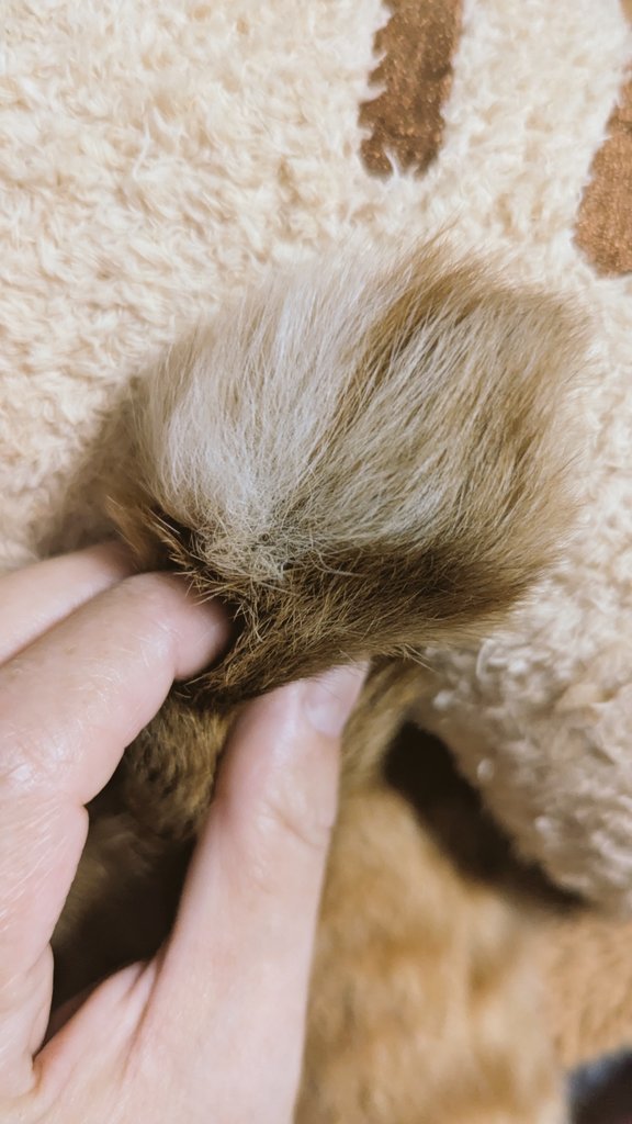 ☆ゆりか☆生まれつき左耳難聴です😂 tweet media