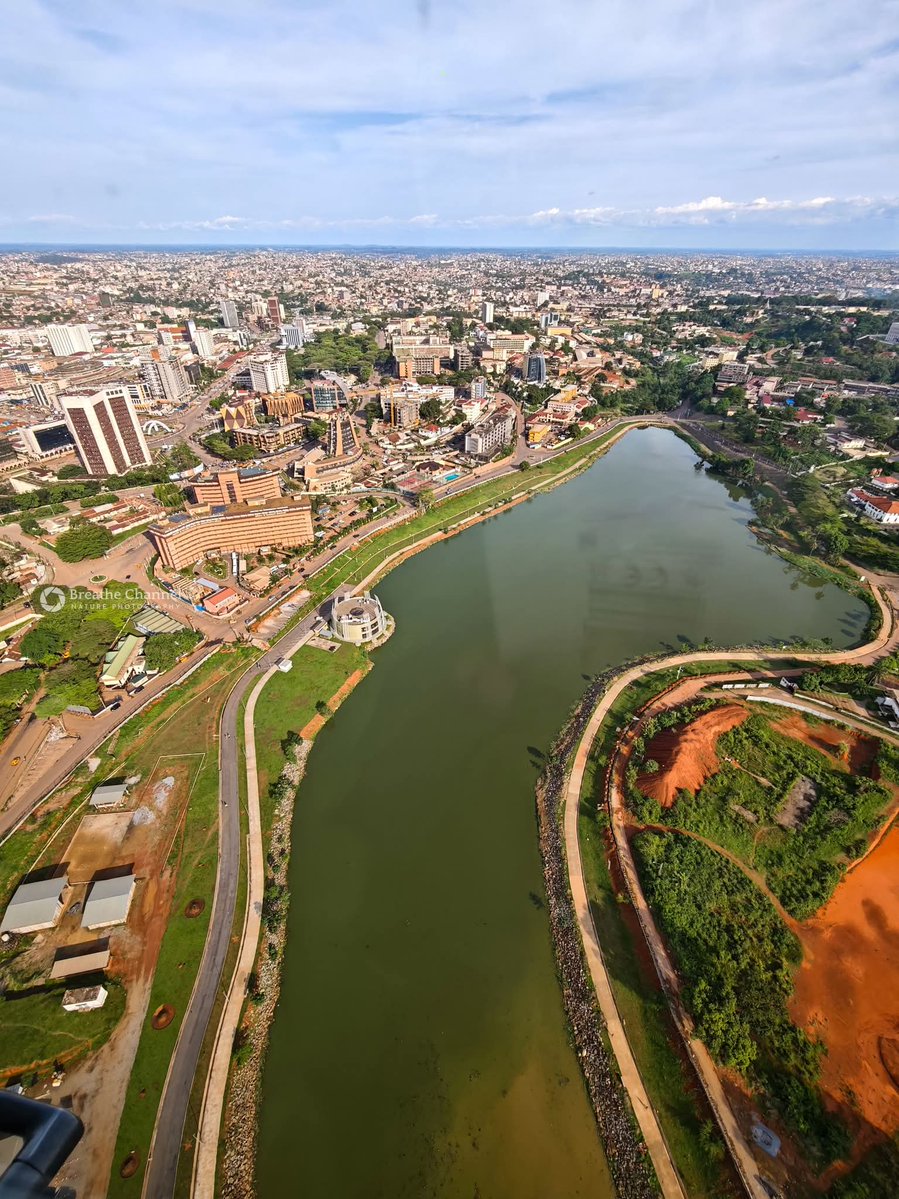 TheCameroonianZ's tweet image. 📍Lac Municipal, Yaoundé.

#Cameroon 🇨🇲

Photo credit : @ericjoelmanej - Breathe Channel