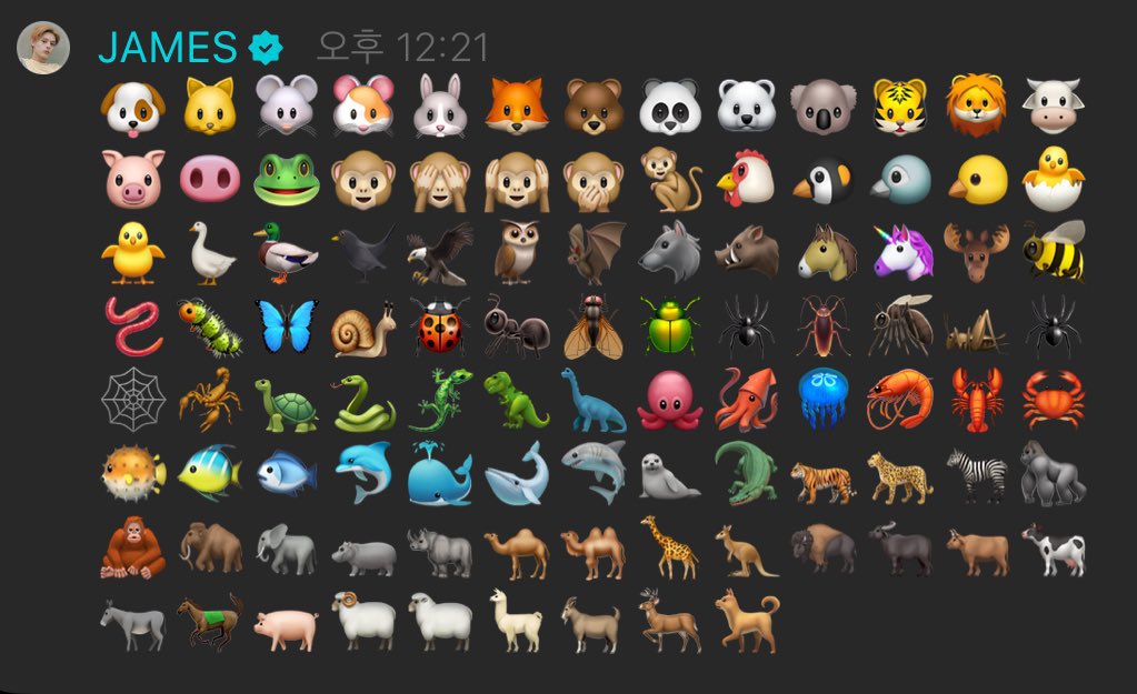 dailyjames tweet media