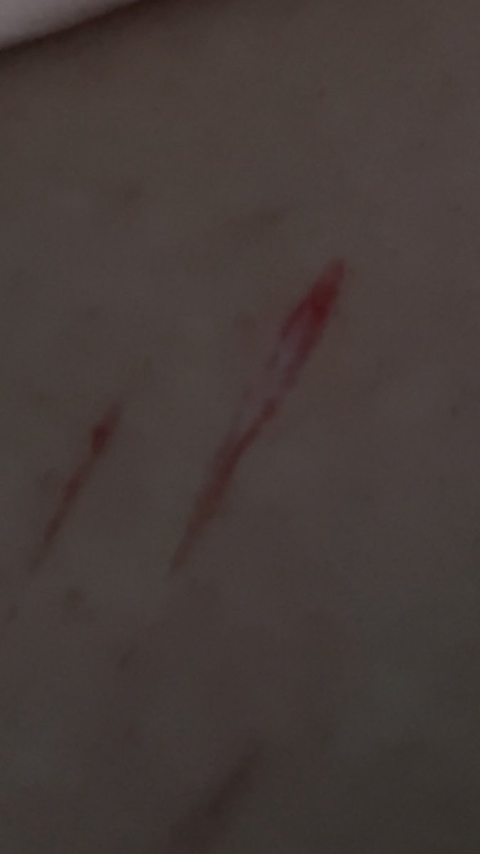 dauqhtr's tweet image. small styro ˃ 𖥦 ˂ #shtwt