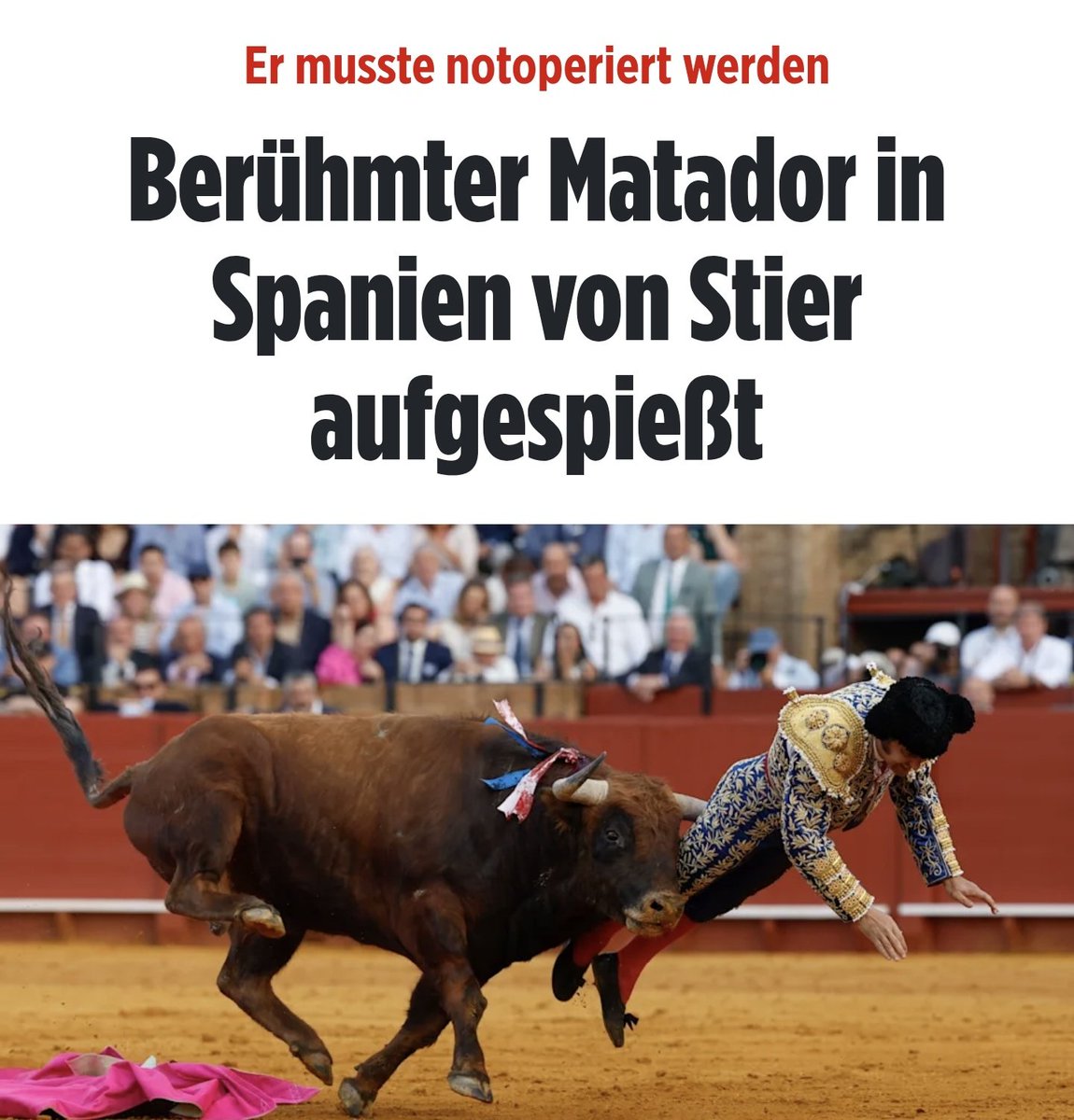 🇩🇪LilitThyra🩶 tweet media