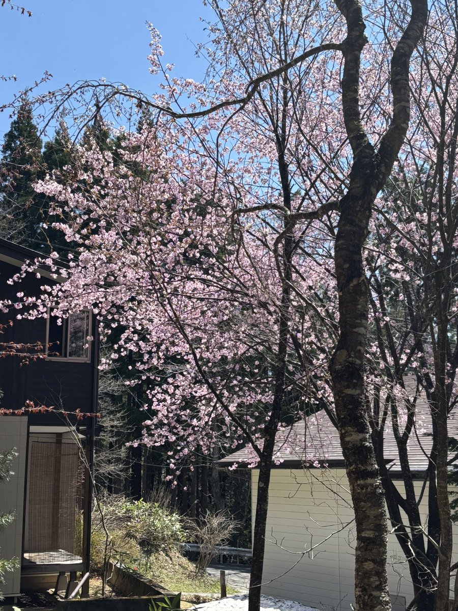 nakanaka777 tweet media