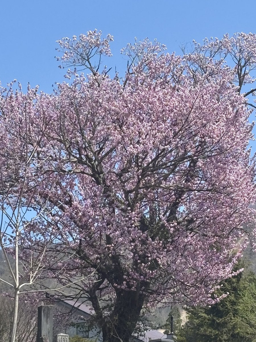 nakanaka777 tweet media