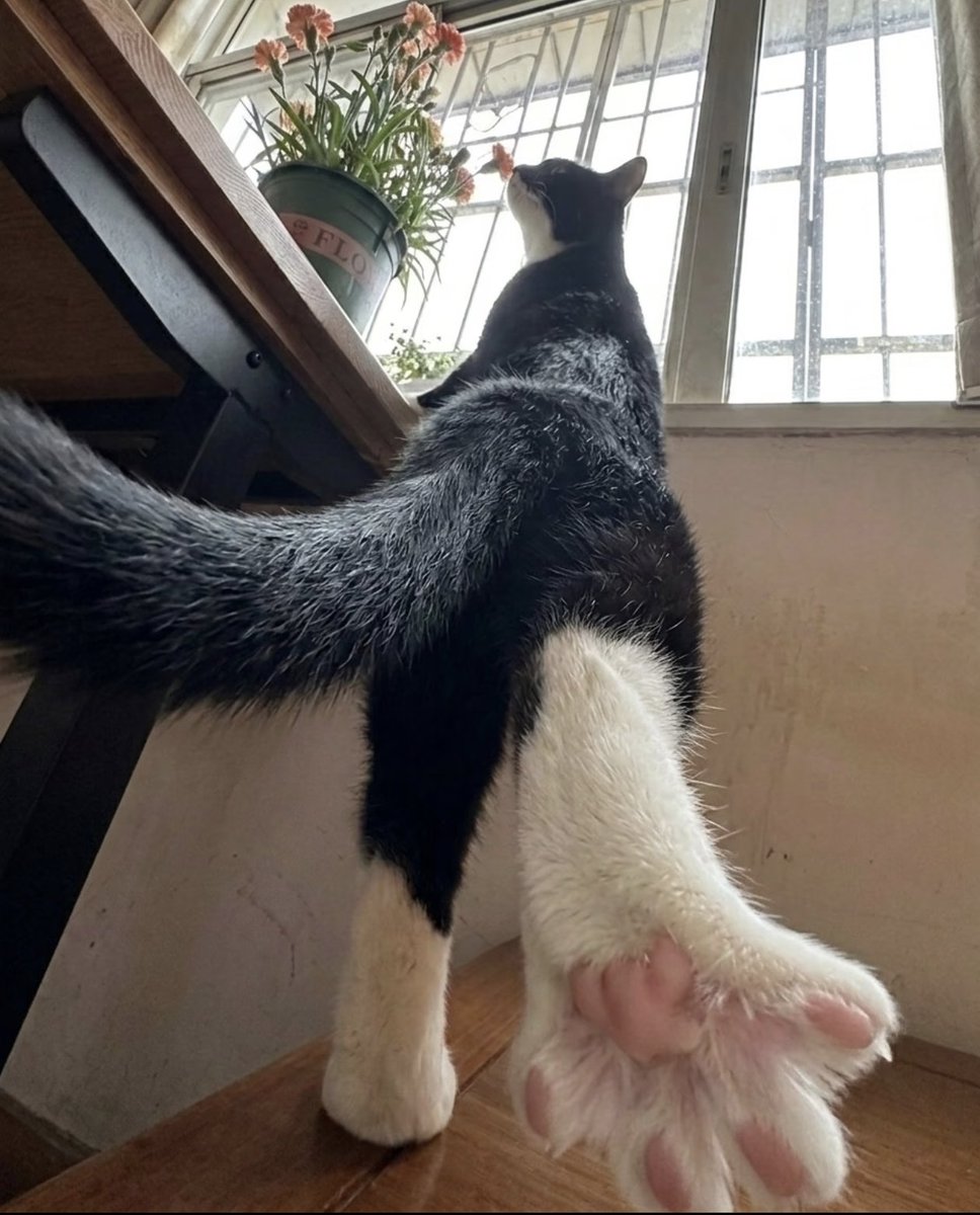 Be careful you get a kick