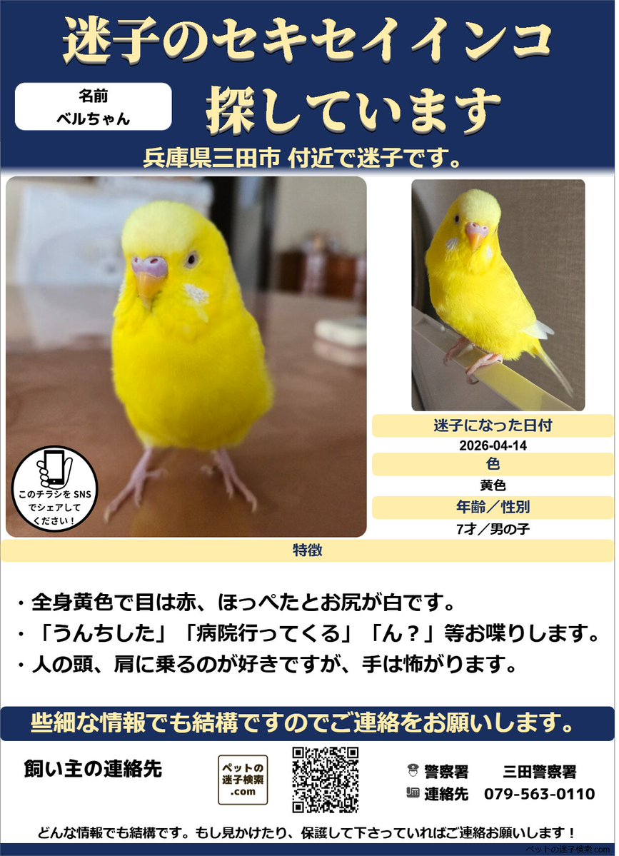 【本家】ペットの迷子検索.com tweet media