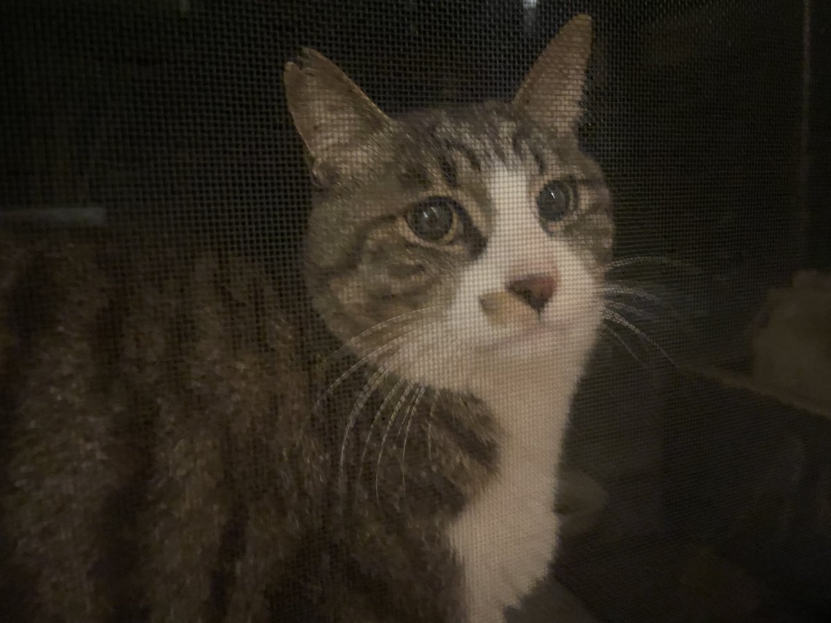 宇多田さん੯‧̀͡⬮ ♬
リスナー→やーくん　REIRIEもレコード出して欲しいな〜
#そとのやつらさん